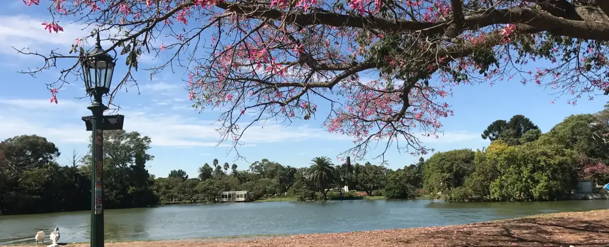 Lago de los Bosques de Palermo, Buenos Aires